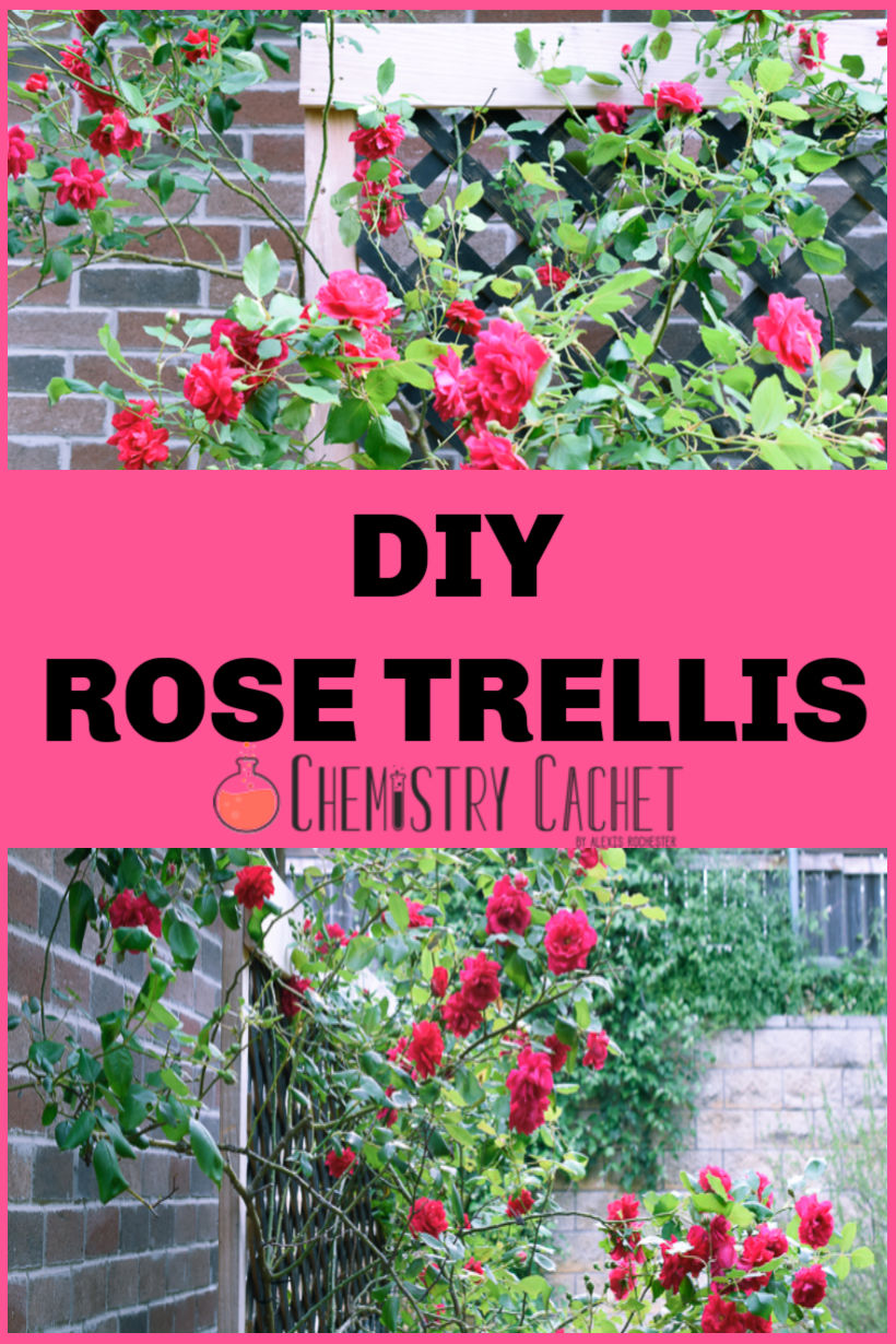 How to Make Rose Trellis