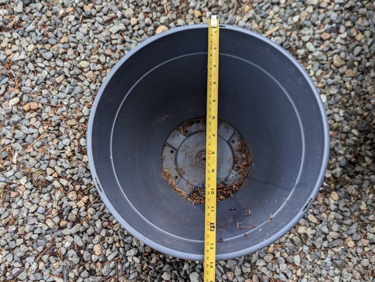 How to Measure a Round Planter 6 Easy Steps (2024)