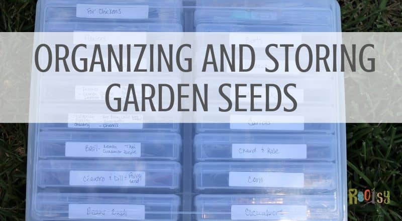 How to Organize Garden Seed Packets