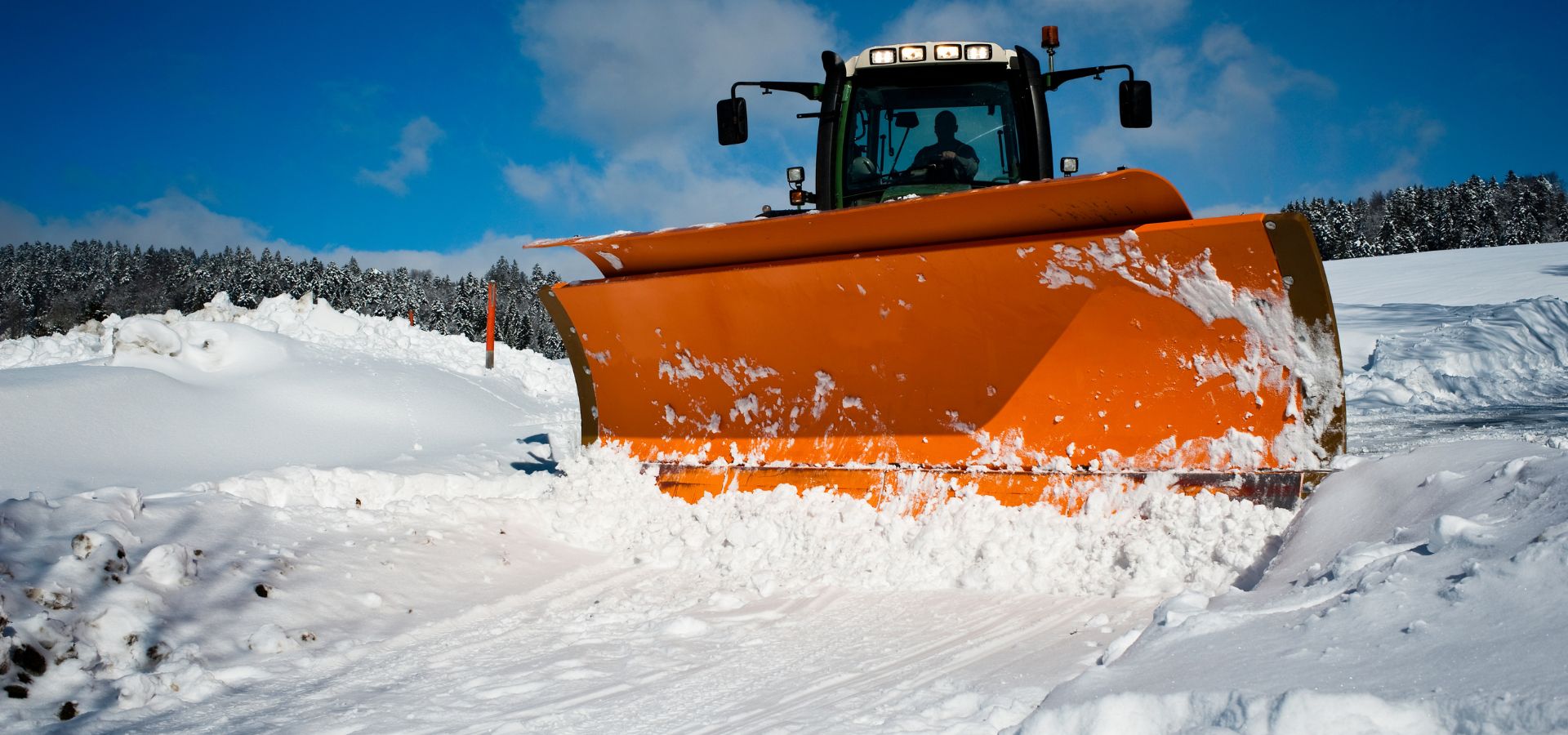 How to Protect Your Trees from Snowplow Damage
