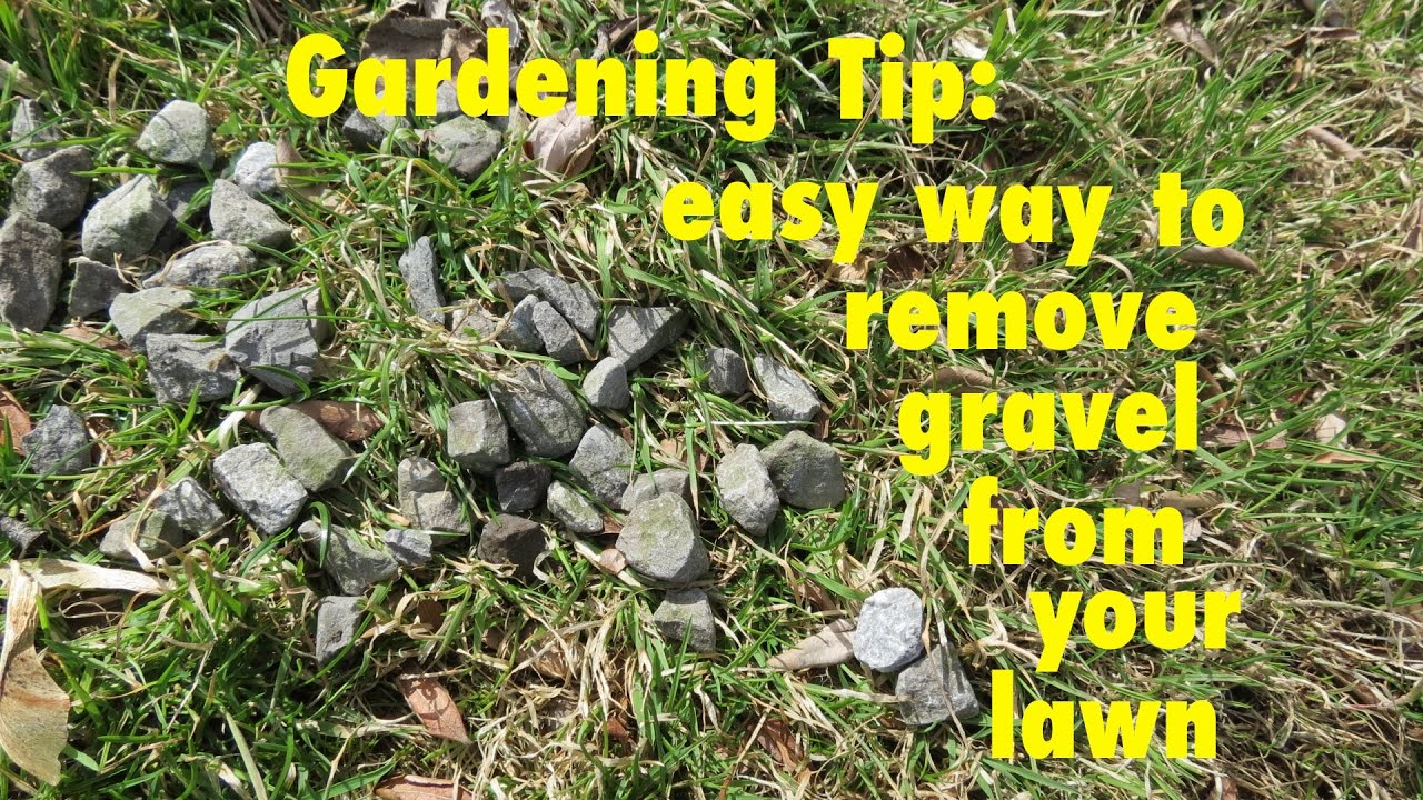 How to Remove Rocks from Grass