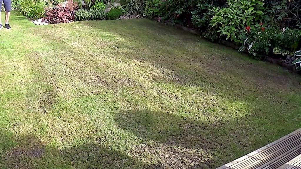 How to Scarify the Lawn