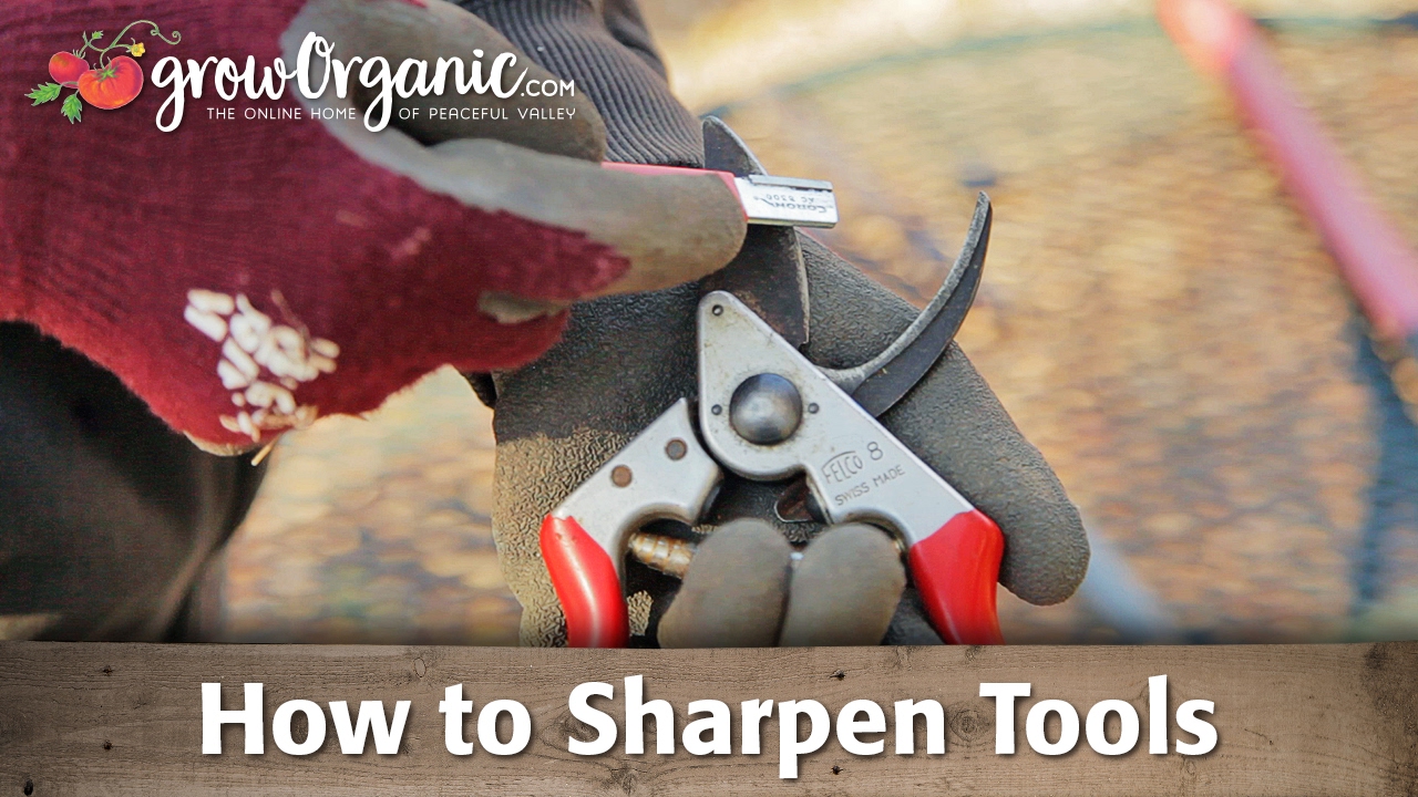How to Sharpen Garden Loppers
