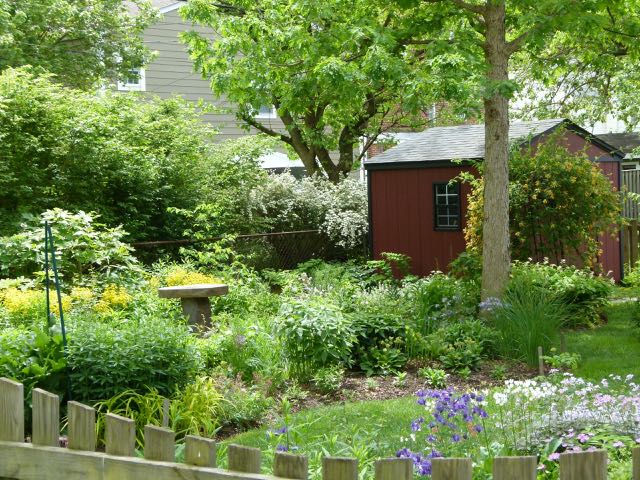 How to Start a Native Plant Garden