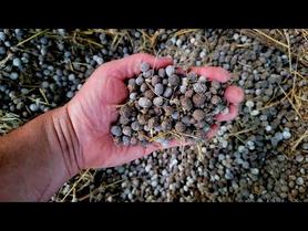 How to Store Rabbit Poop for Fertilizer