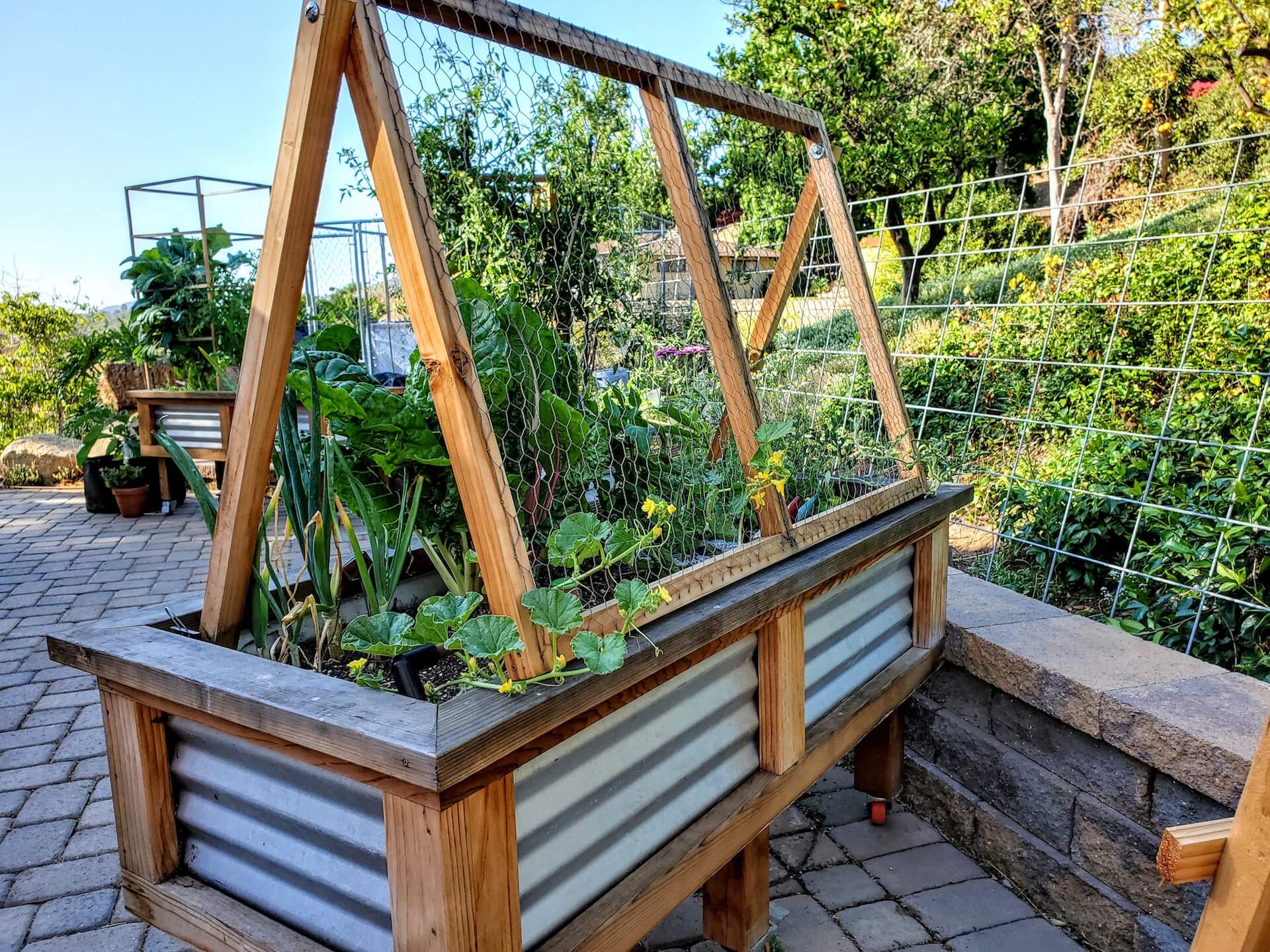 How to Trellis Cucumbers in a Raised Garden Bed