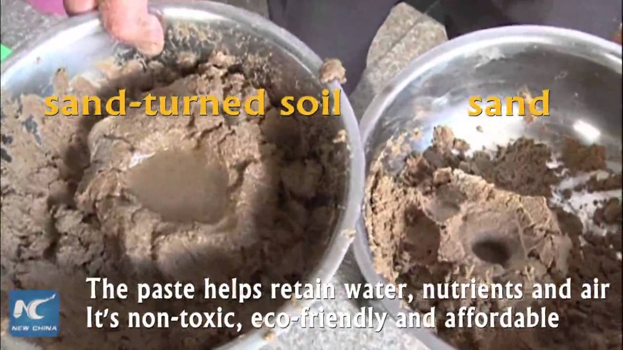 How to Turn Sand into Soil