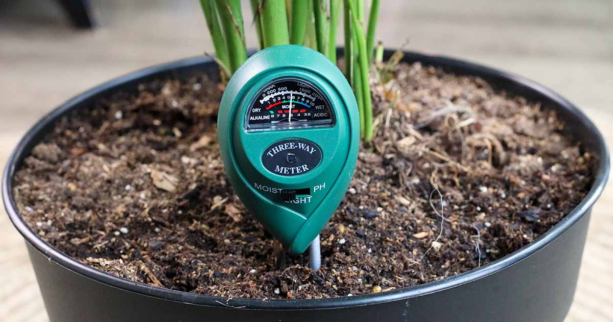 How to Use a Moisture Meter