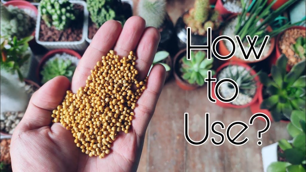 How to Use Osmocote Step by Step Guide (2024)