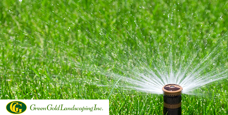 How to Water Lawn After Overseeding