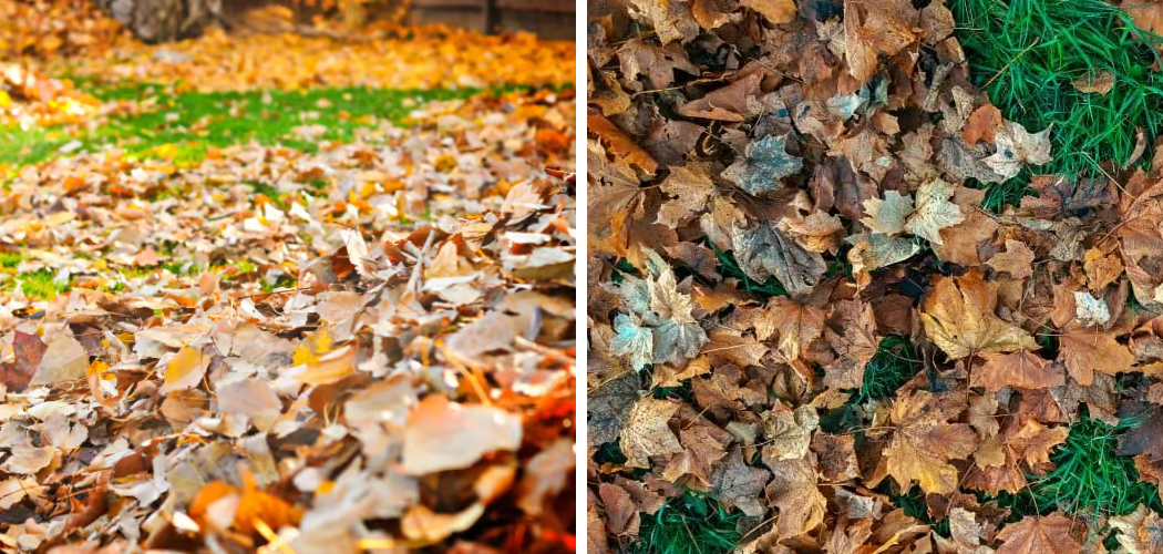 How to Mulch Leaves Without a Mower