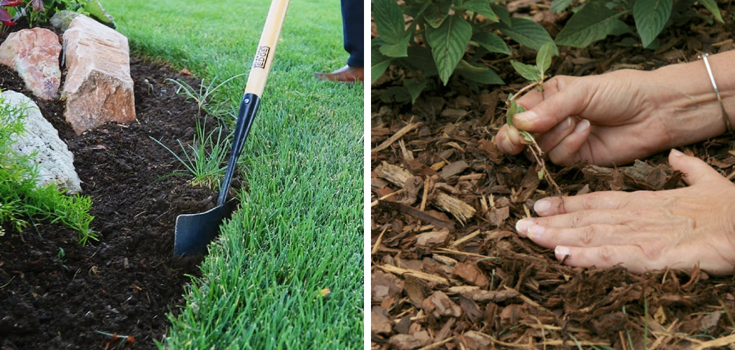 How to Stop Grass from Growing in Mulch