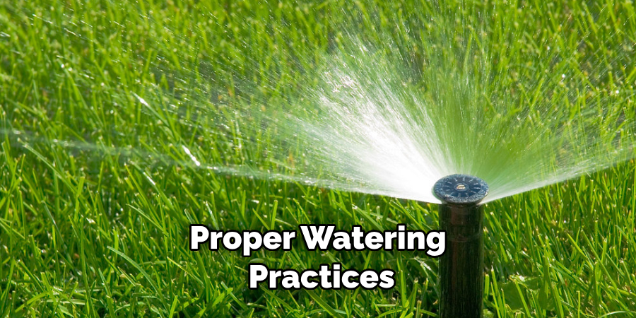 Proper Watering Practices