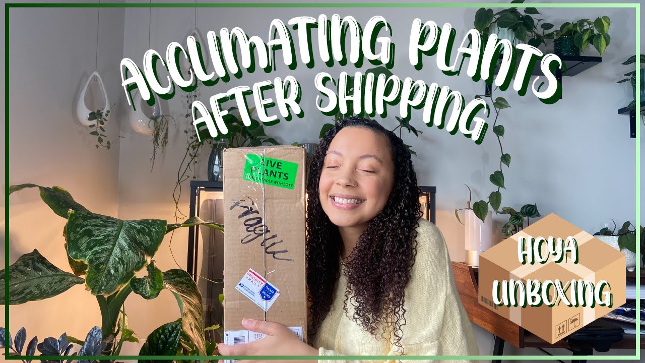 How to Acclimate Plants After Shipping