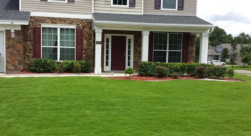 How to Care for Emerald Zoysia Grass