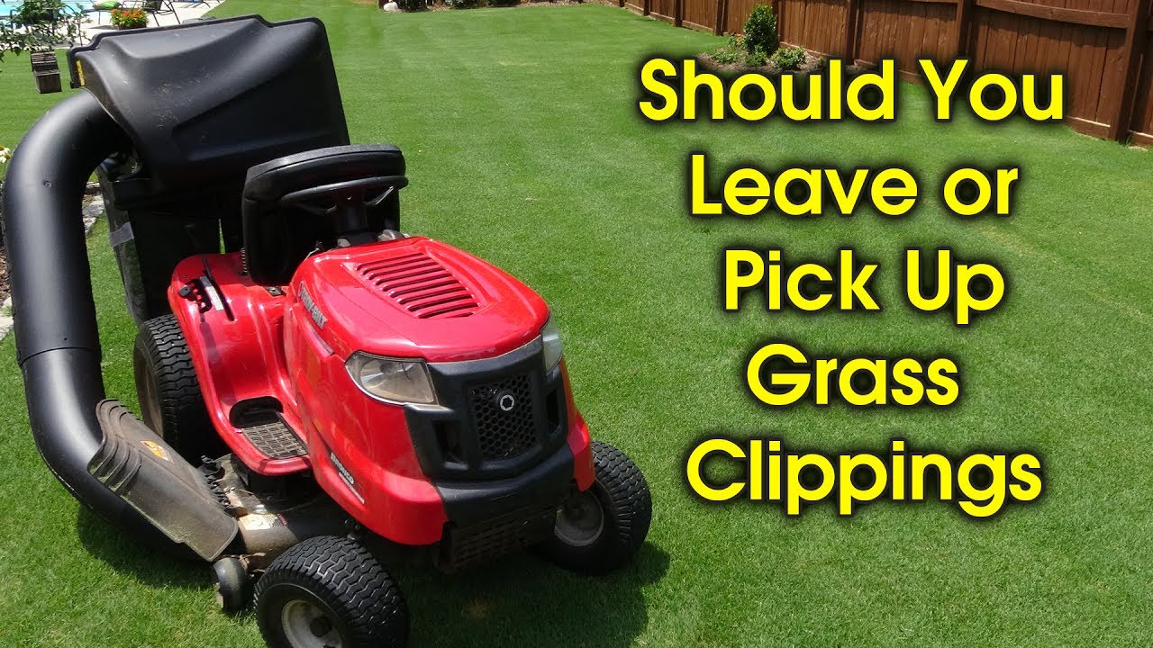 How to Collect Grass Clippings