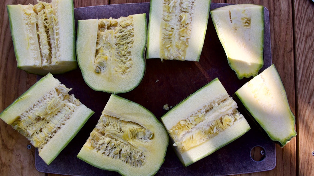 How to Collect Zucchini Seeds