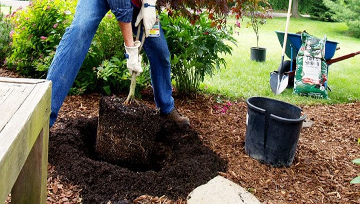 How to Dig for Planting