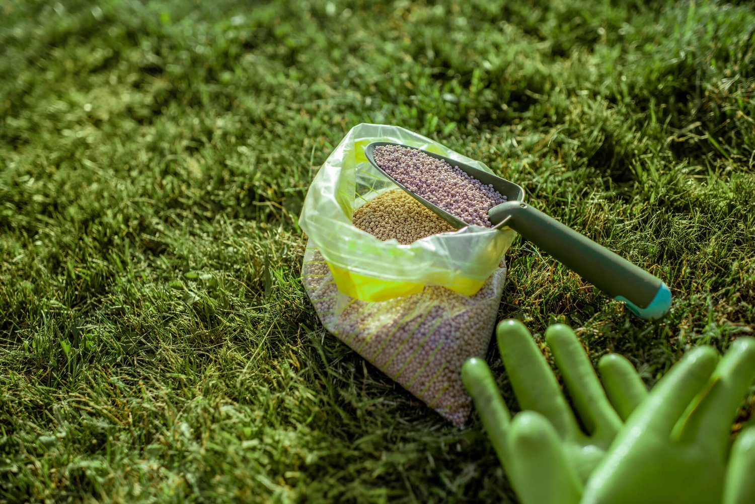 How to Dispose of Lawn Chemicals