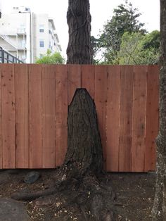 How to Fence around a Tree