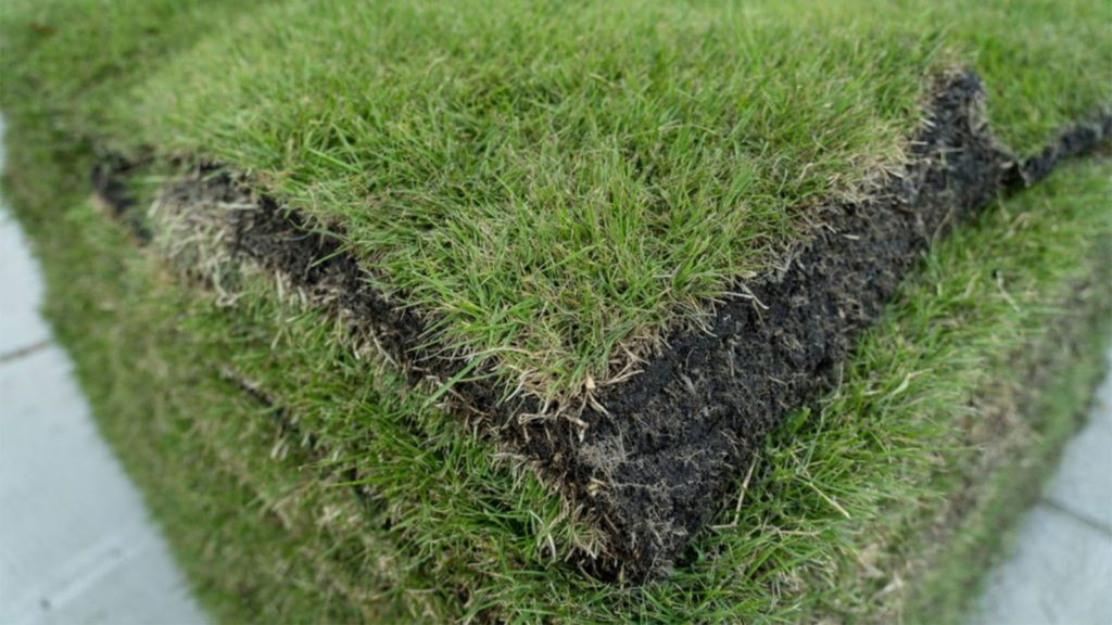 How to Fix Lawn With Different Types of Grass