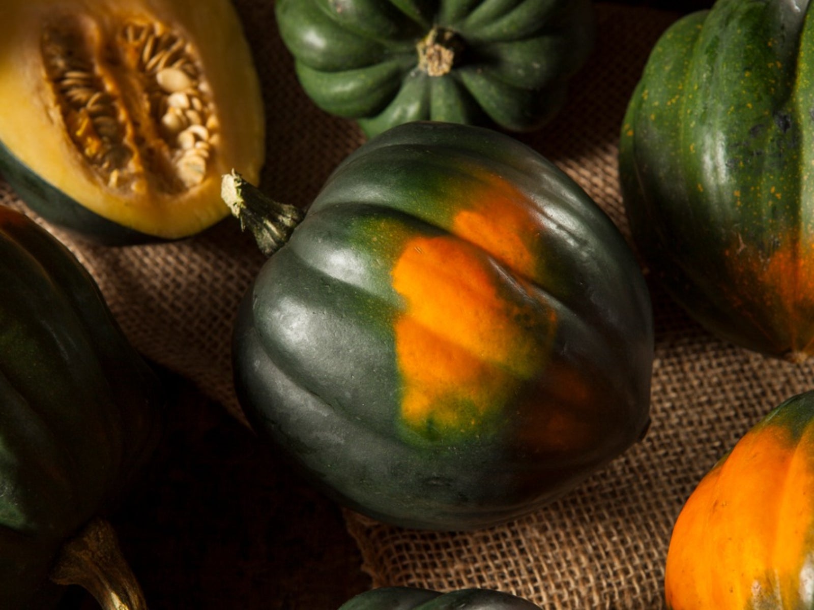 How to Harvest Acorn Squash