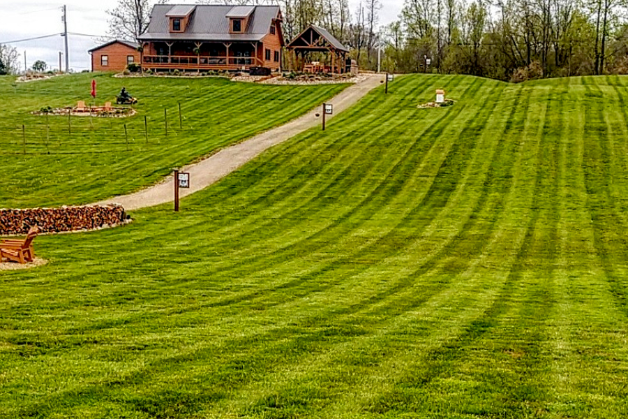 How to Have a Great Lawn Without Chemicals