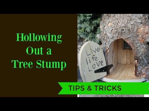 How to Hollow Out a Stump