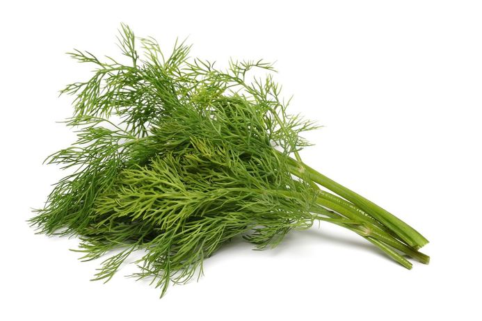 How to Identify Dill