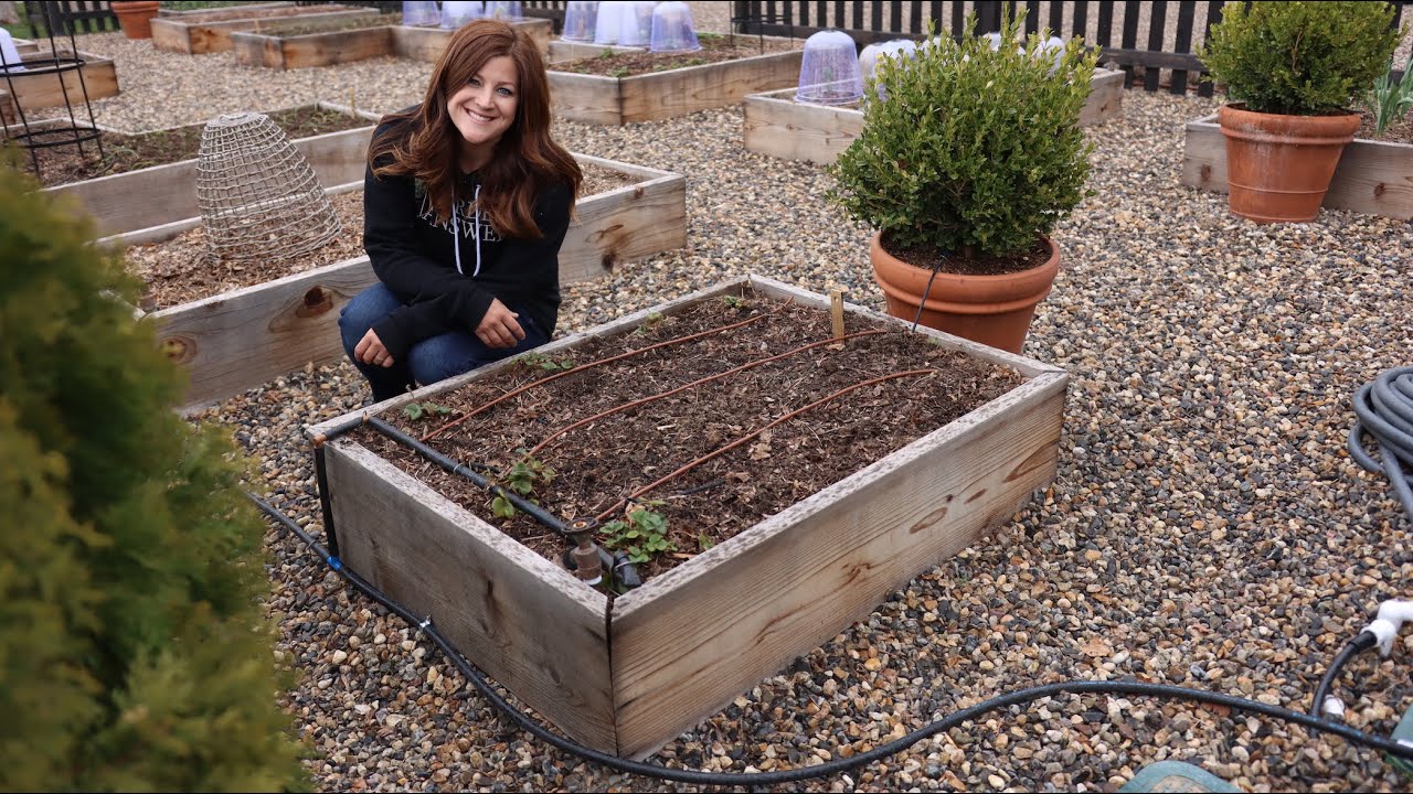 How to Install Drip Irrigation in Raised Beds