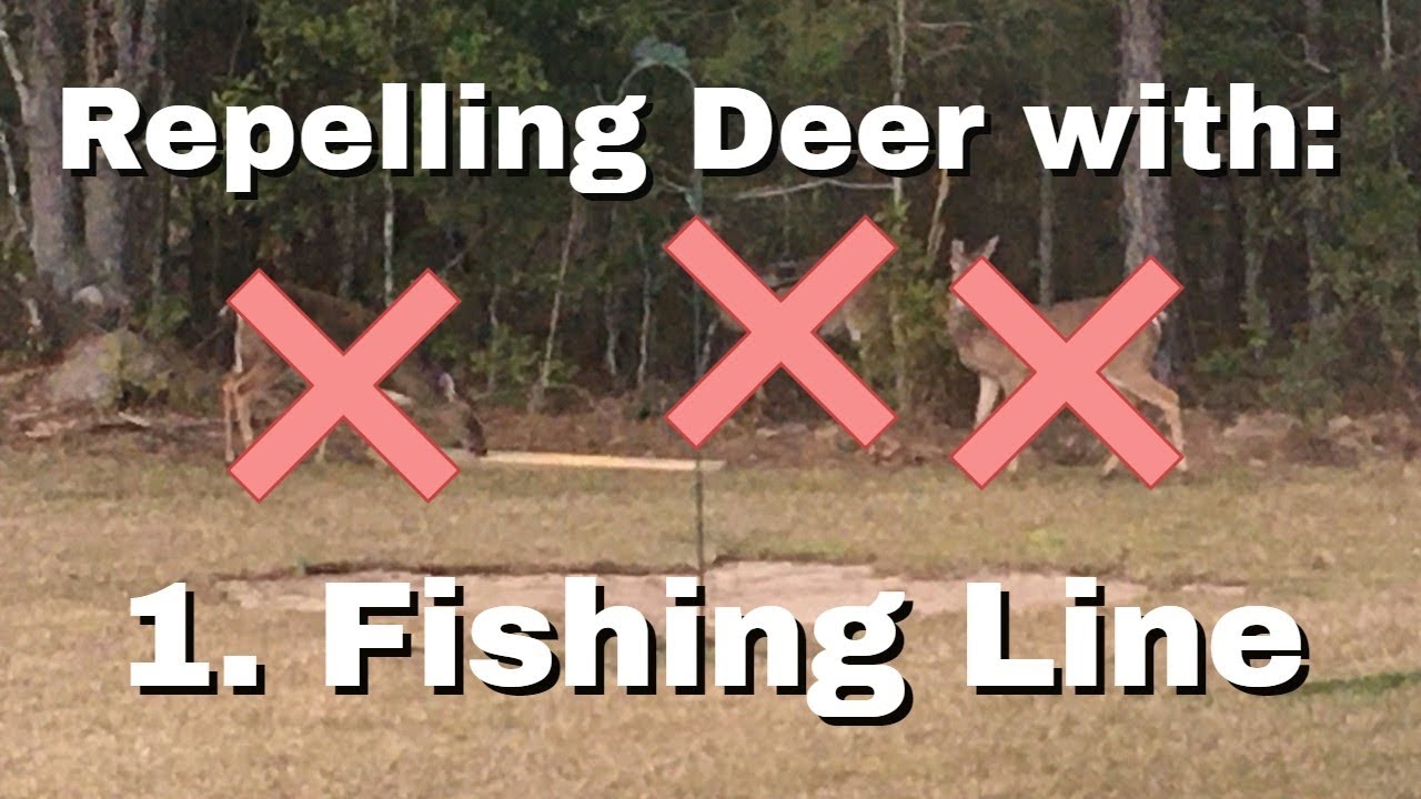 How to Keep Deer Out of Garden Fishing Line