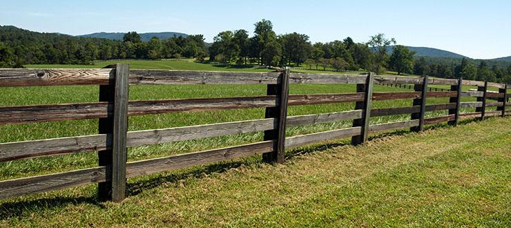 How to Keep Fence Line Clear