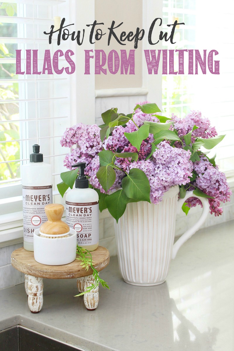 How to Keep Lilacs from Wilting