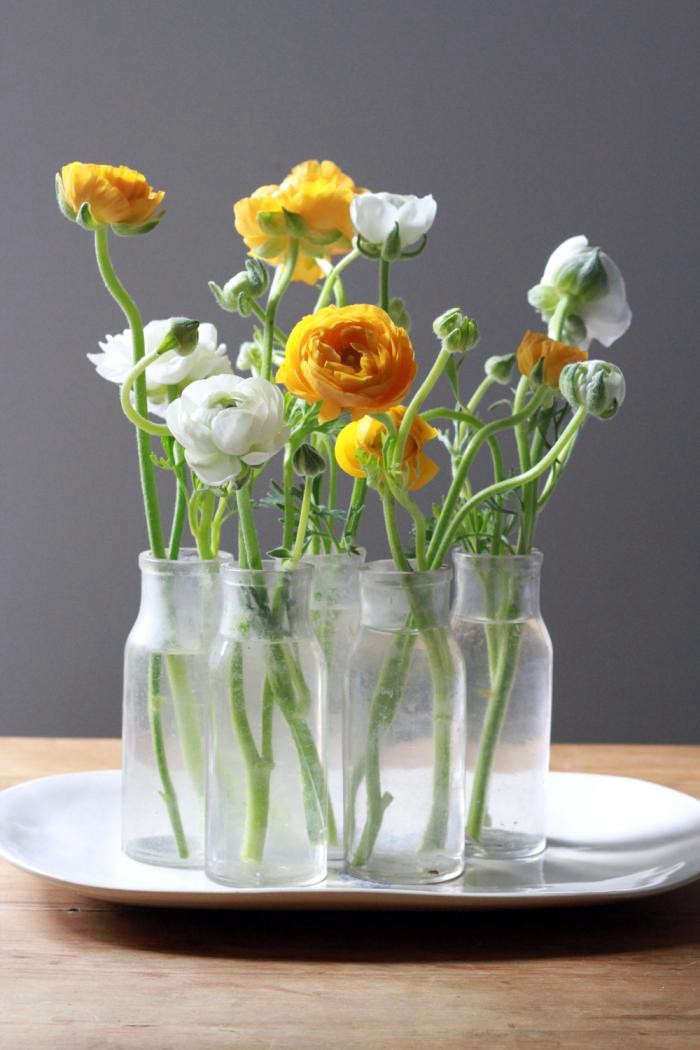 How to Keep Ranunculus Alive