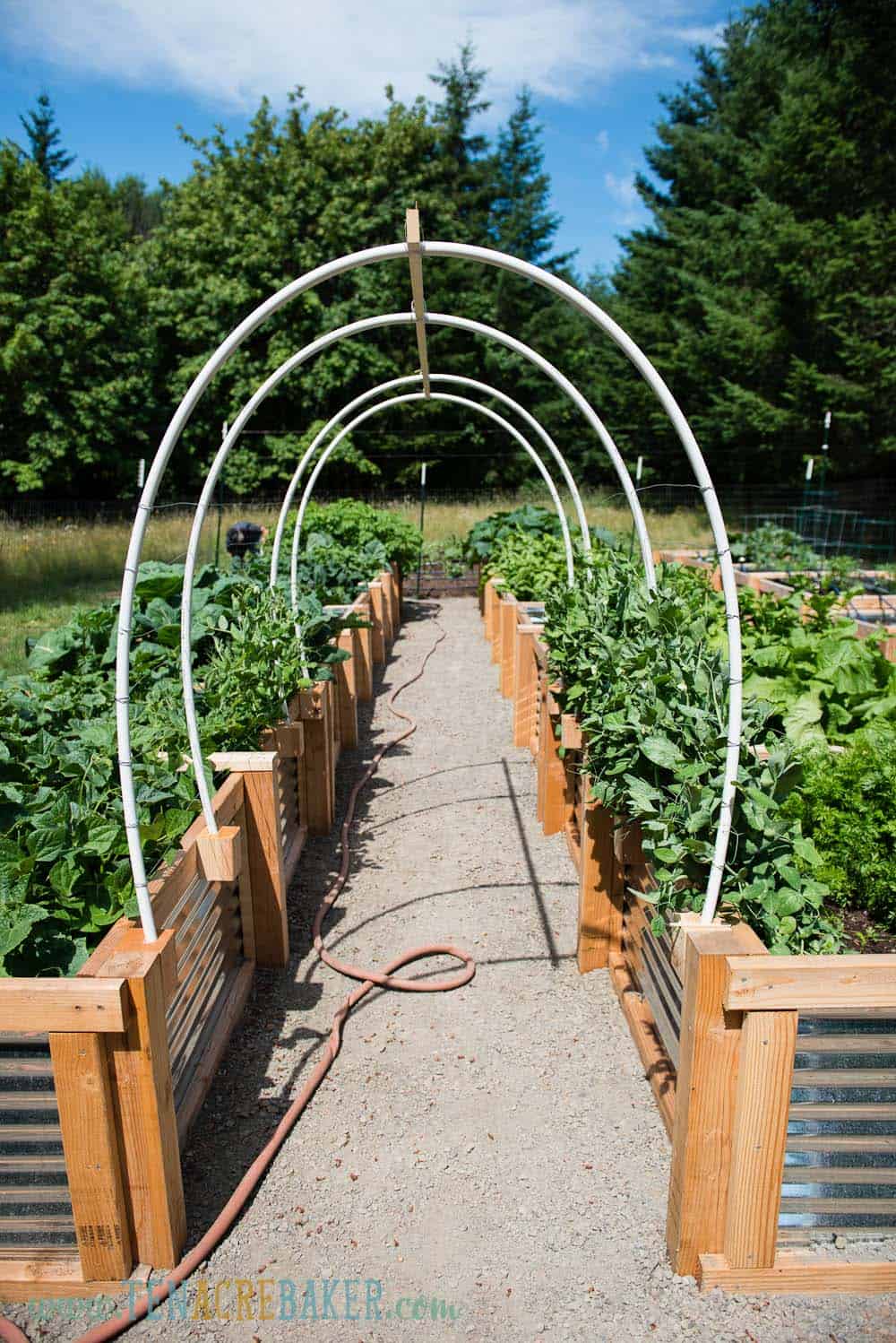 How to Make a Garden Arch With Pvc Pipe