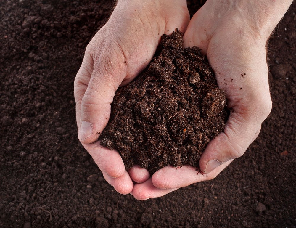 How to Make Soil from Scratch