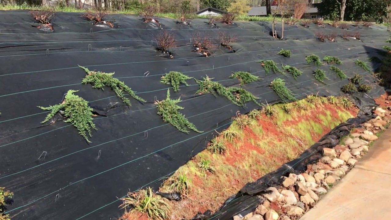 How to Mulch a Hill