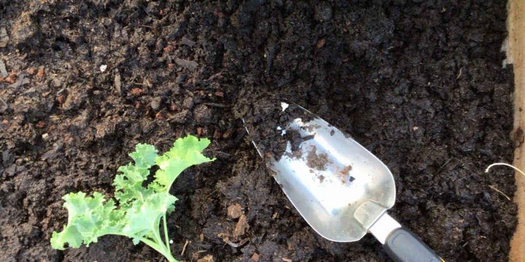 How to Prepare an Old Flower Bed Step by Step Guide (2024)