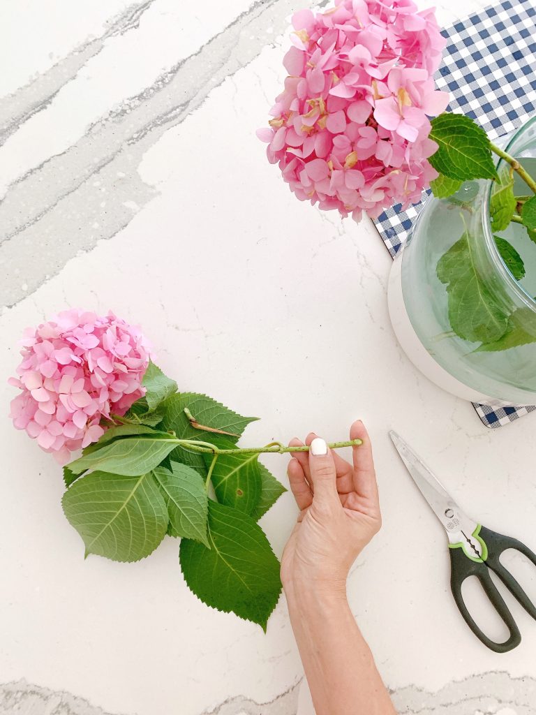 How to Prevent Hydrangeas from Wilting