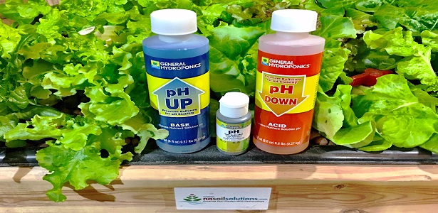 How to Raise Ph in Hydroponics