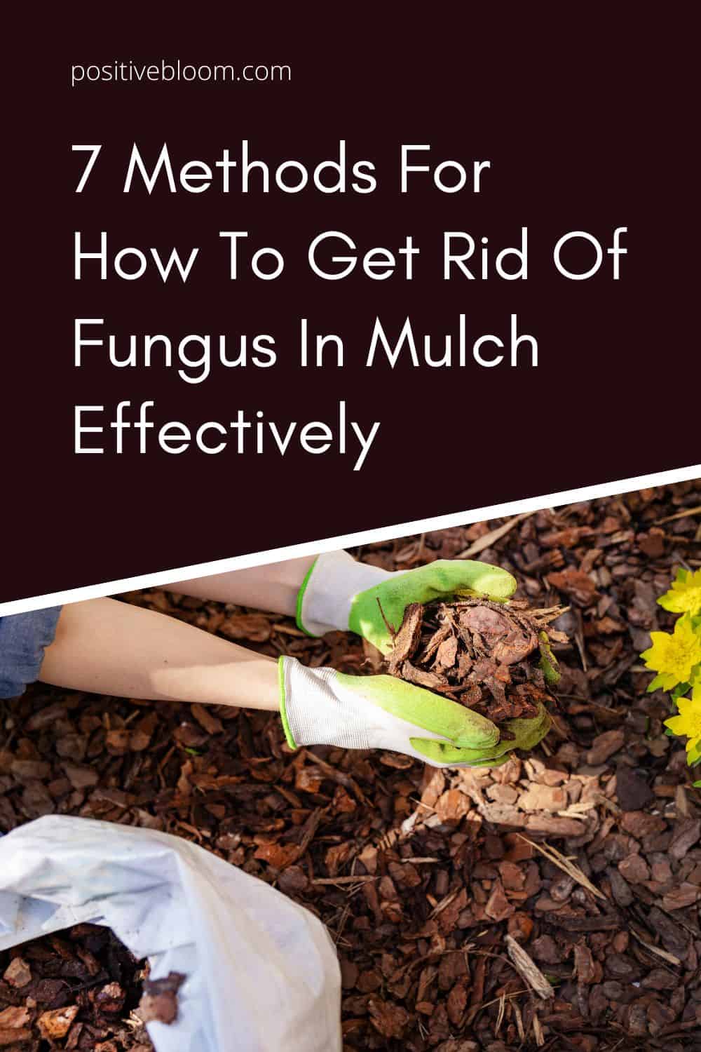 How to Remove Smell from Mulch