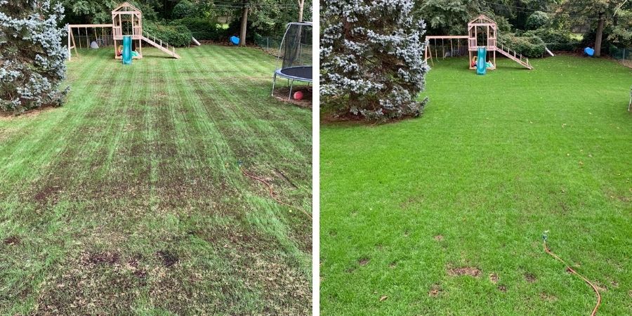 How to Repair Drought Damaged Lawn