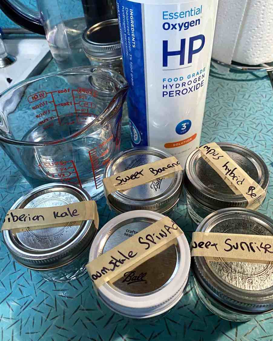 How to Soak Seeds in Hydrogen Peroxide