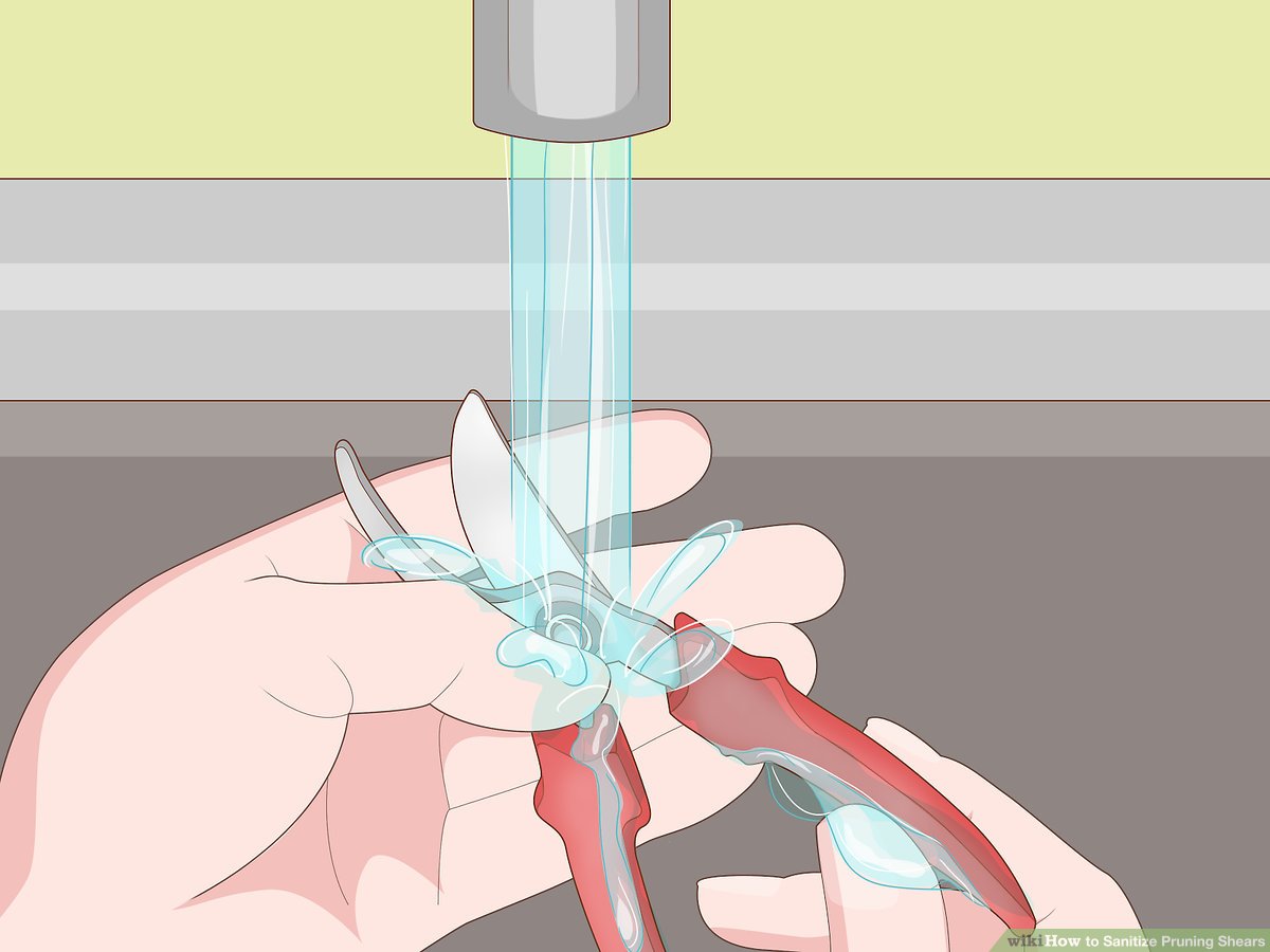 How to Sterilize Scissors