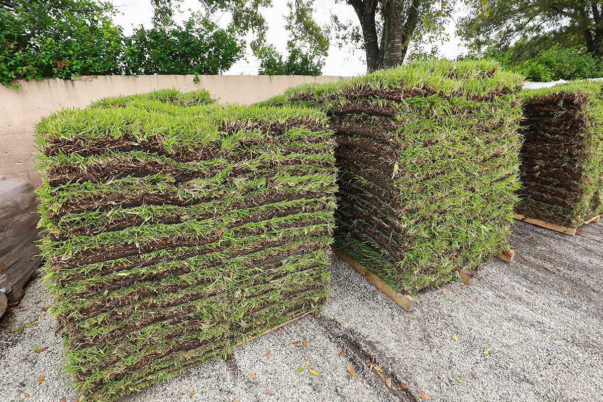 How to Store Sod