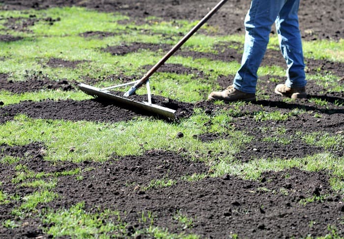 How to Top Dress And Overseed a Lawn