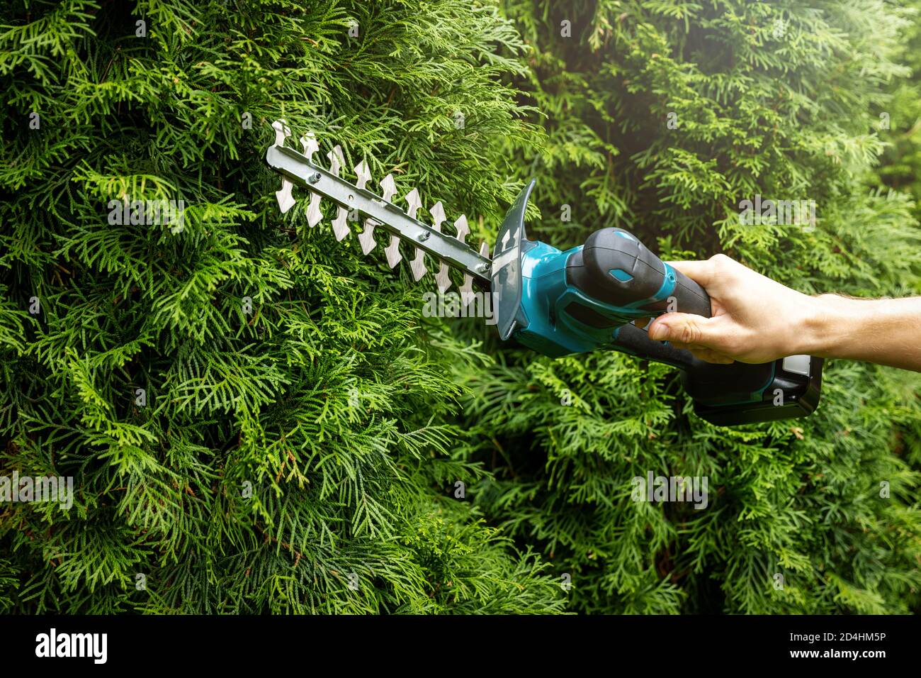 How to Trim Evergreen Bushes With Electric Trimmer