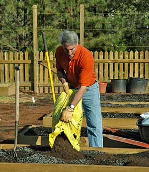 How to Use Black Kow Manure in Vegetable Garden