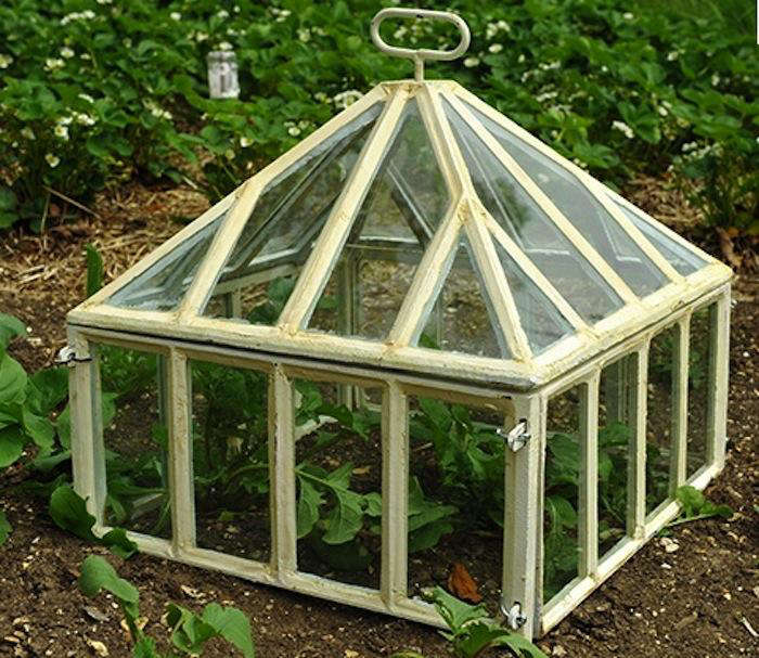 How to Use Garden Cloche