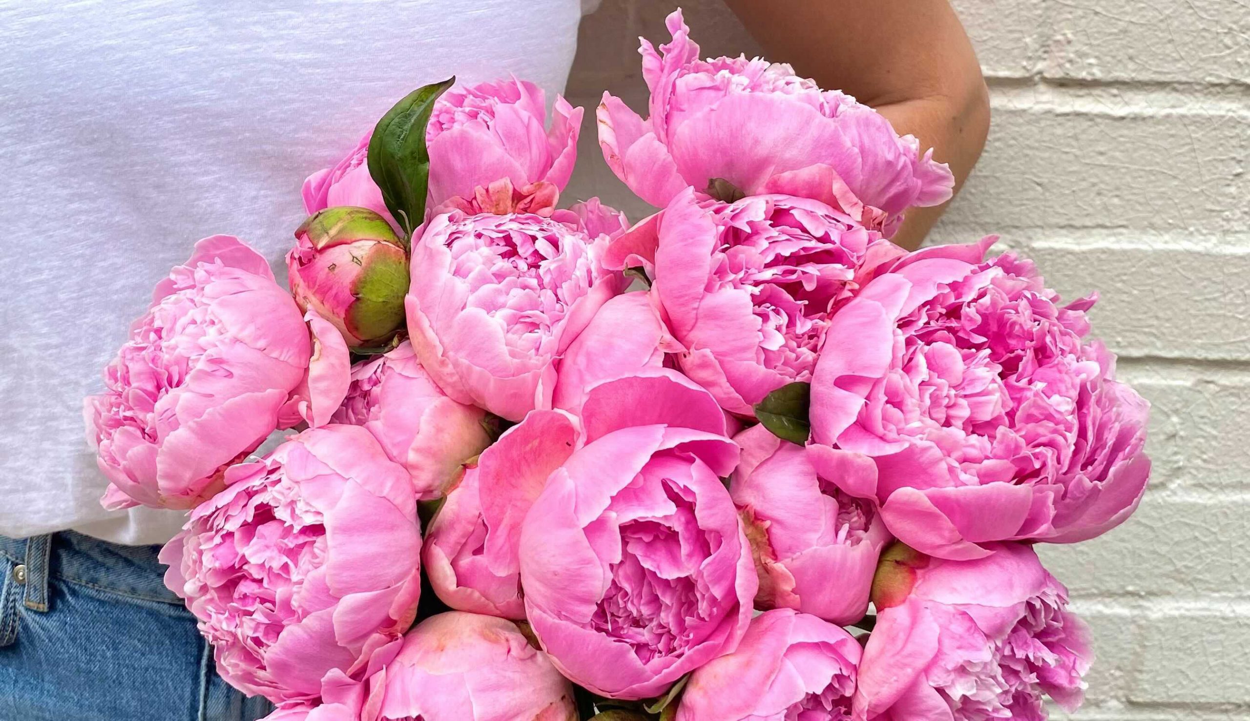 How to Winter Peonies